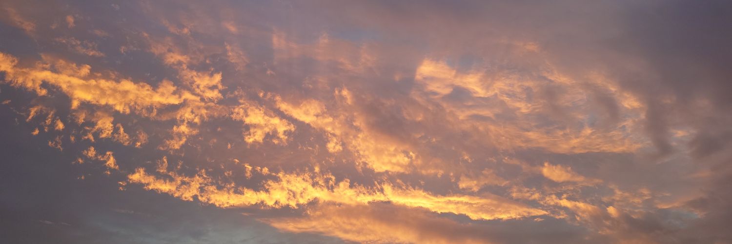 Kippunesu's profile banner image