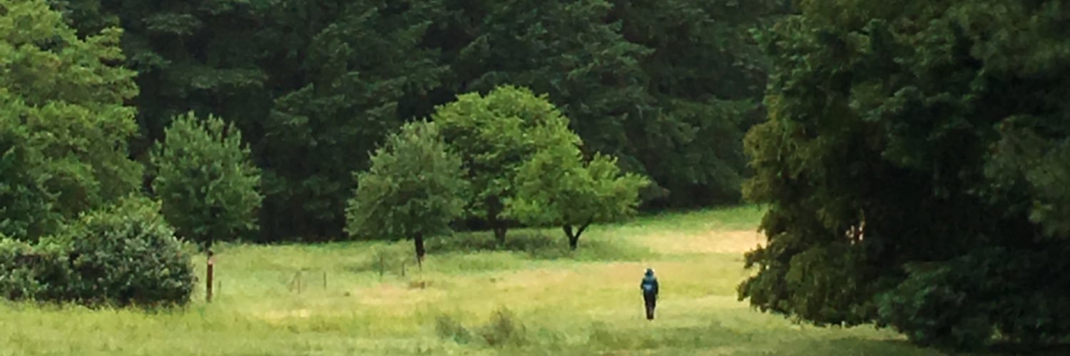 Donna Manders banner