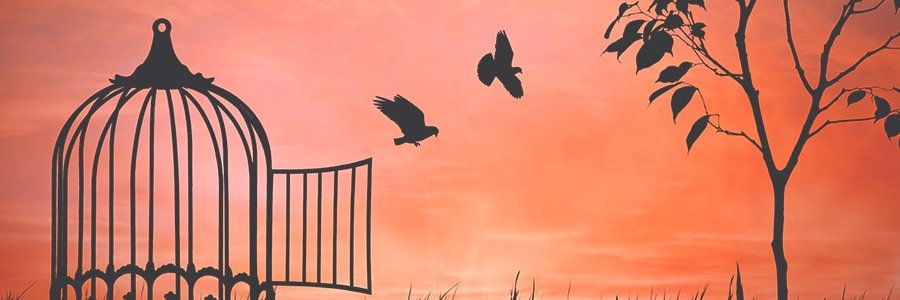 Florencia De Turris banner