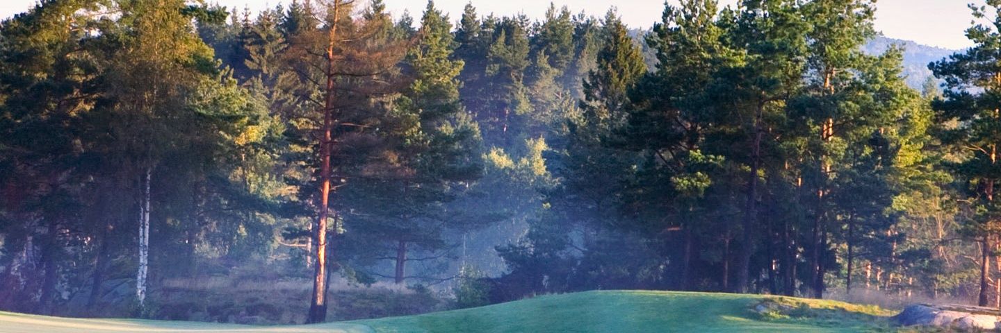 Mattias Johansson banner