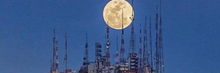 Rafael Rodrigo 🇮🇹💙🦊🤍 banner