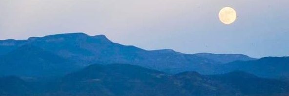 Tereyesla's profile banner image
