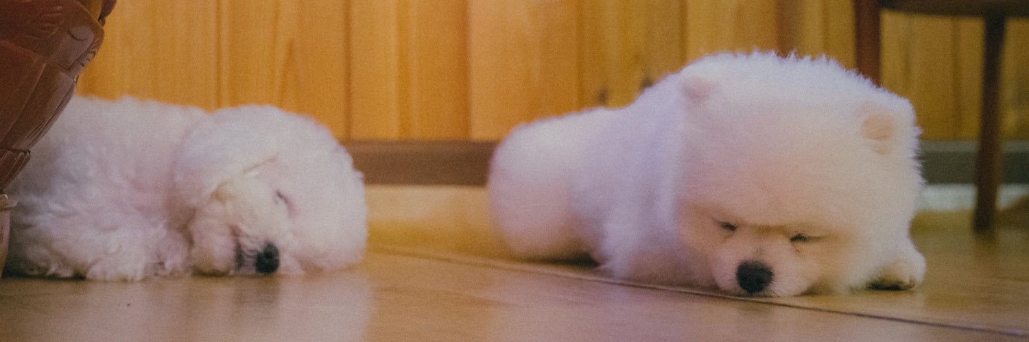 wooseokbam's profile banner image
