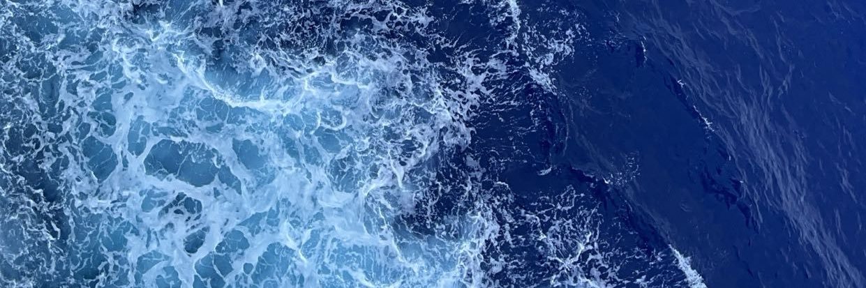 bayens_haley's profile banner image