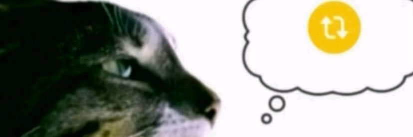 Extrovetímidoᶜʳᵛᵍ banner