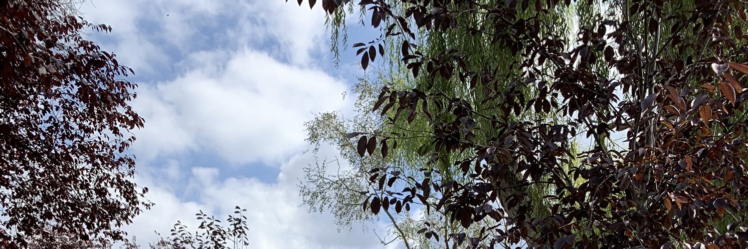 AaronDias's profile banner image