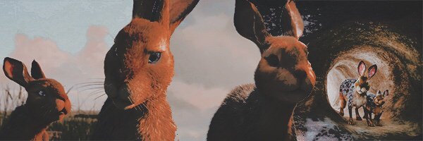 ‍ ‍‍ ‍ ‍‍ ‍ ‍‍ ‍ ‍‍ ‍ ‍‍𝓯𝐢𝐯𝐞𝐫 .ᐟ‍ banner