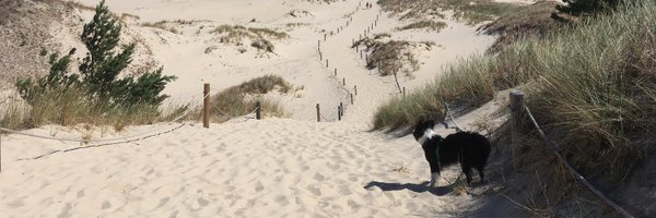 klavitka Profile Banner