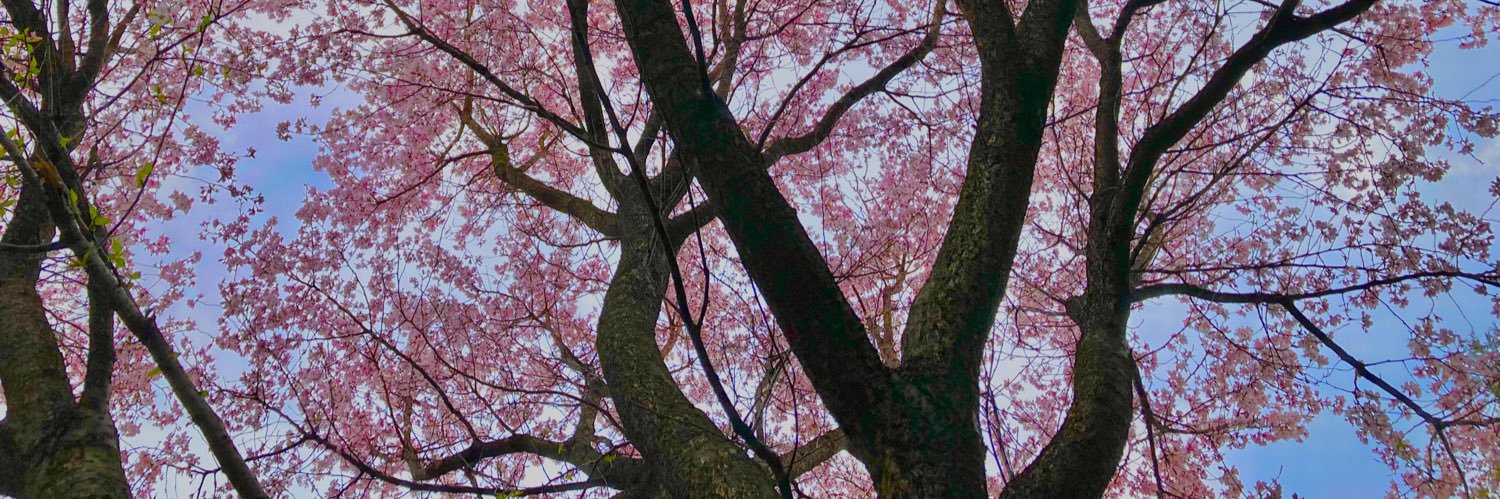 Itaru Tomita / 冨田到 banner