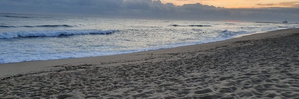 YangJone's profile banner image