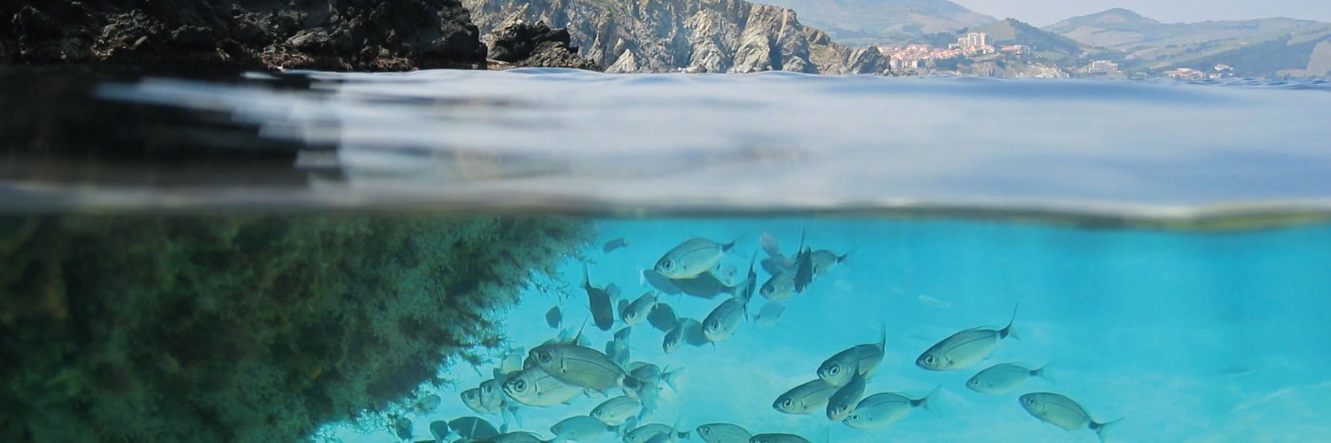 MSC Pêche Durable banner