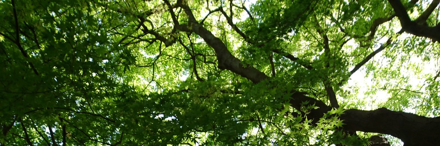 jino1D's profile banner image