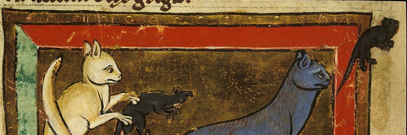 Medieval Cats banner