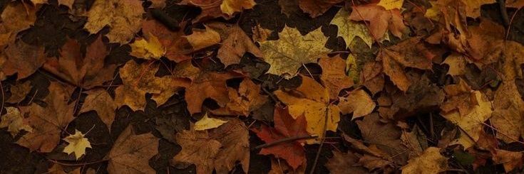 金旼炡. 📌 banner