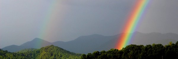 lkatmurray Profile Banner