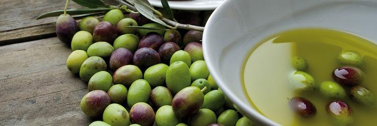 VisiteFattorie's profile banner image