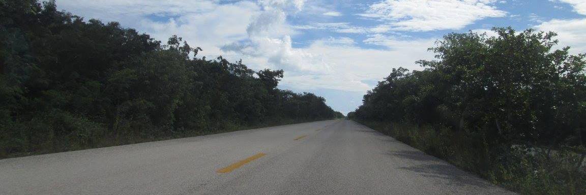 Tracy Jackson banner