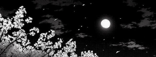 oolyobddo's profile banner image