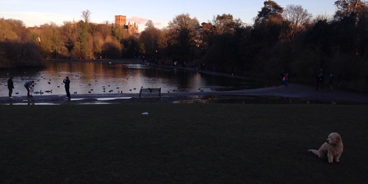 Steven Laitner banner