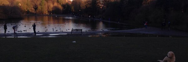 SteveLaitner Profile Banner