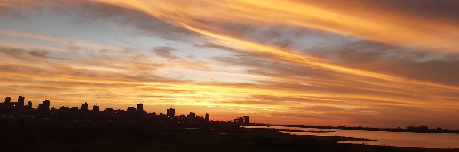 SalinasMarcia's profile banner image