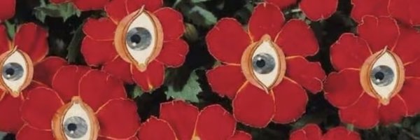 DannielaPr Profile Banner