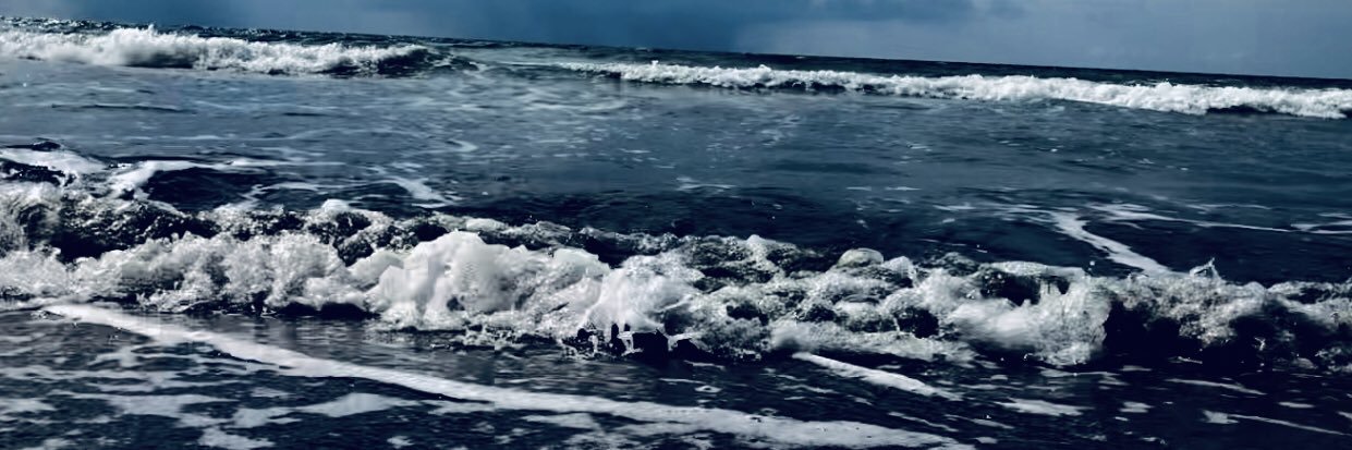 DeniseDanielaN1's profile banner image