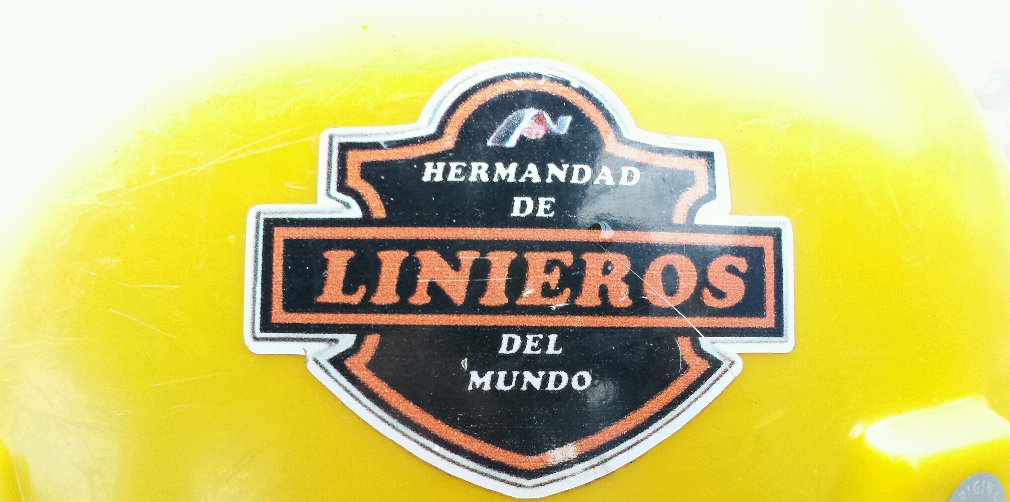 alejandro15274's profile banner image