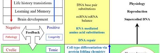 James V.  Kohl banner