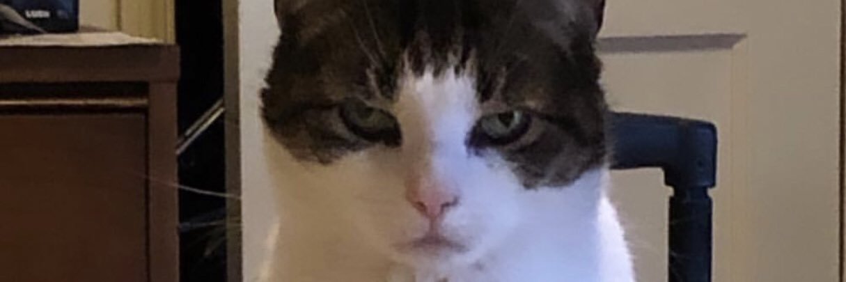 AshAttack1's profile banner image