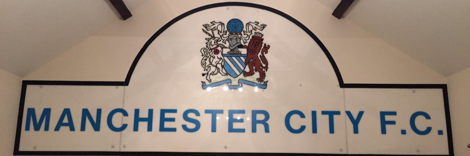 TheBlueMagpie banner