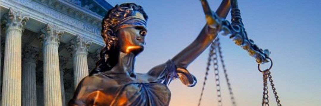 Paloma 🇪🇦💚 banner