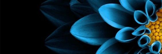 ZaherIrani's profile banner image