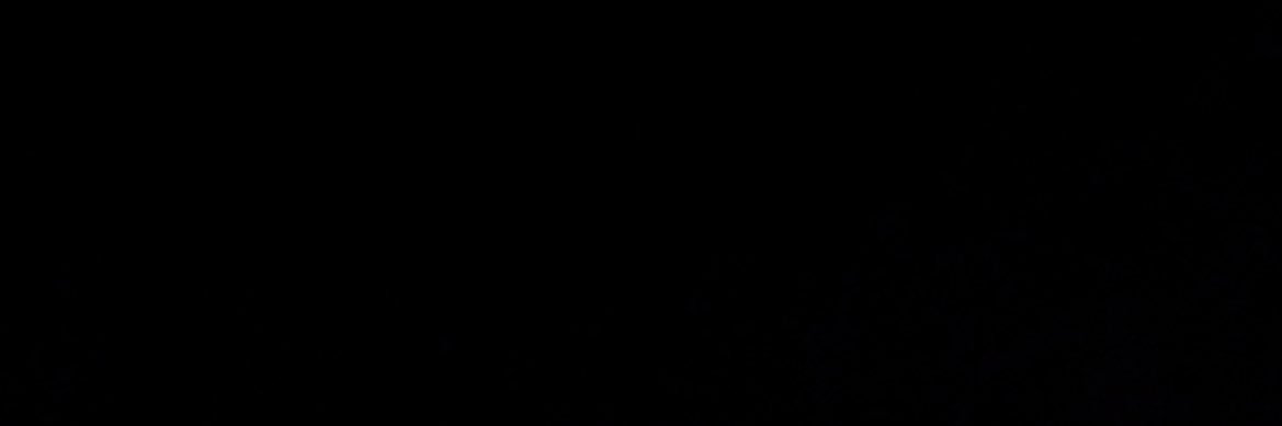 szlr's profile banner image