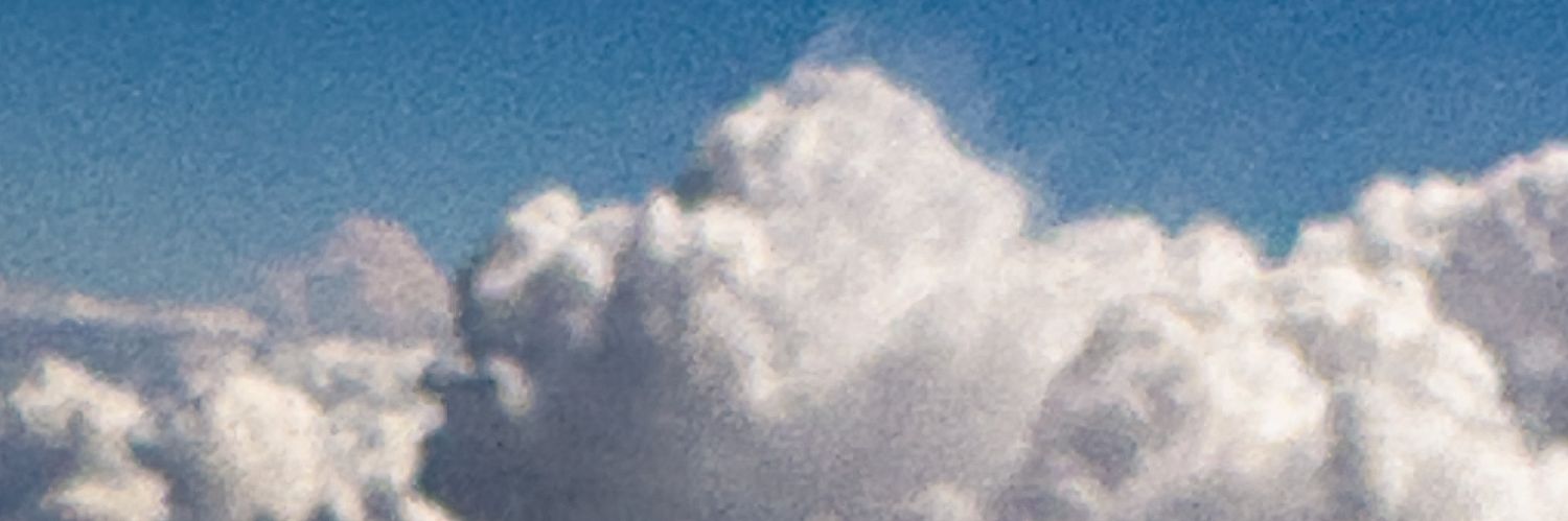s banner