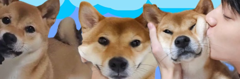 めんま🐶 banner