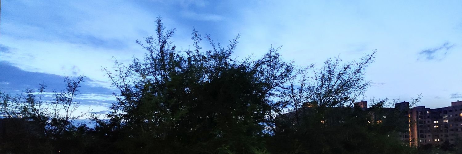 Dharshini2906's profile banner image
