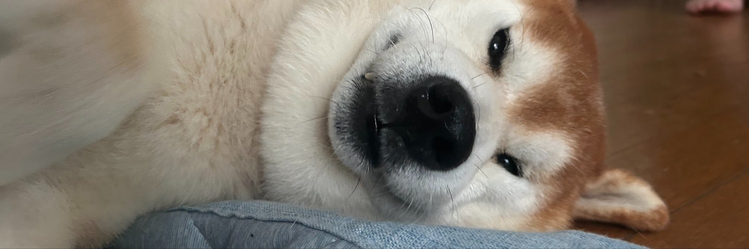 TakoLox7's profile banner image