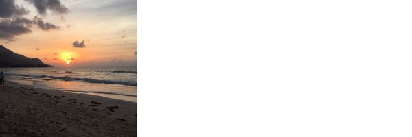 ProfLawlor Profile Banner