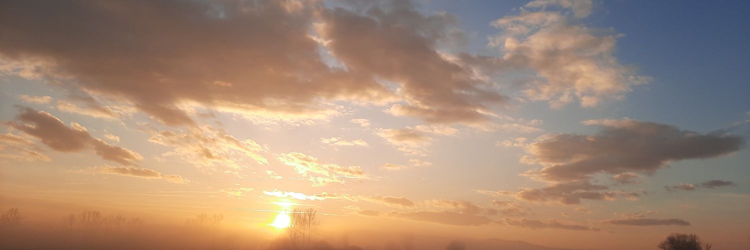 FreemanPeter's profile banner image