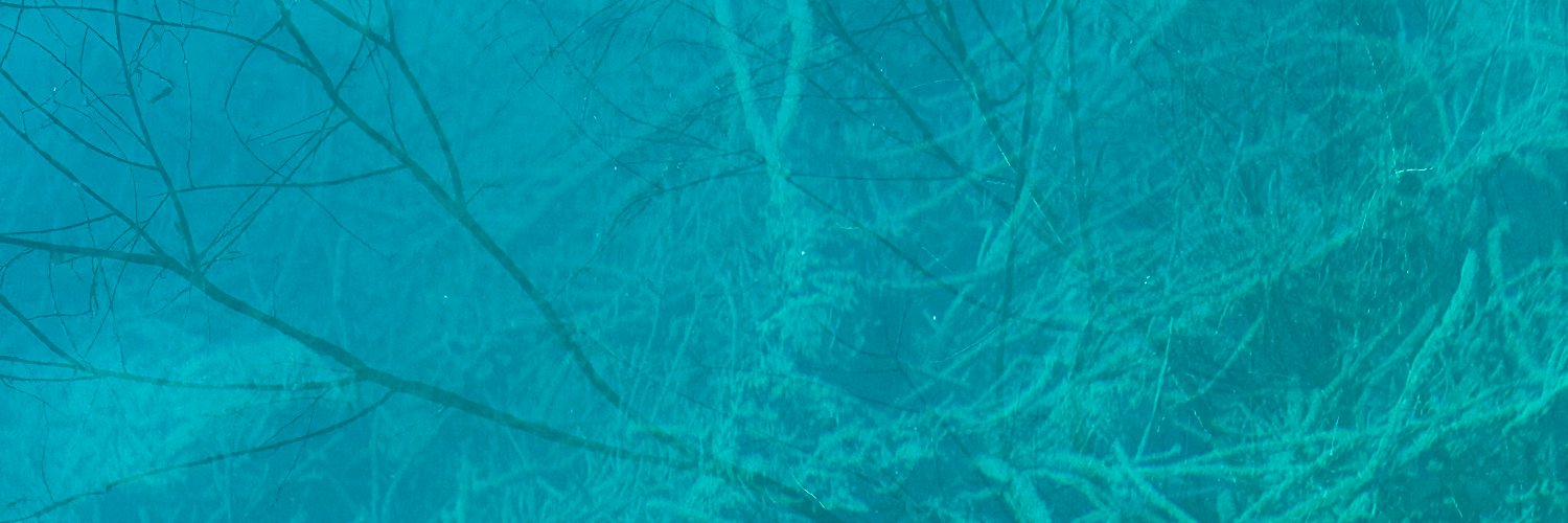 ivesjob's profile banner image