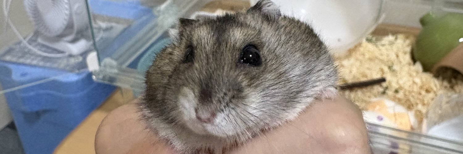 charis_ER34's profile banner image
