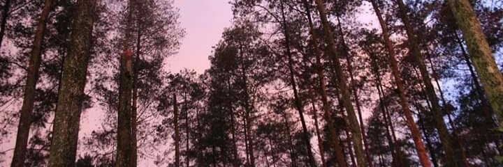 bayangan_malam's profile banner image