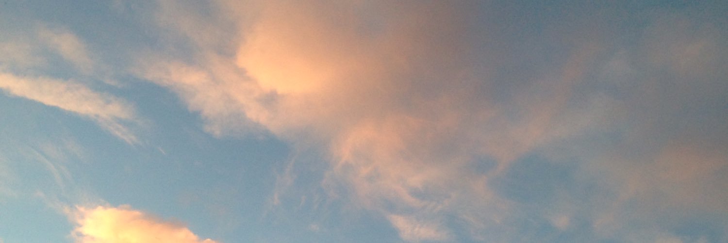 emeliaosk's profile banner image