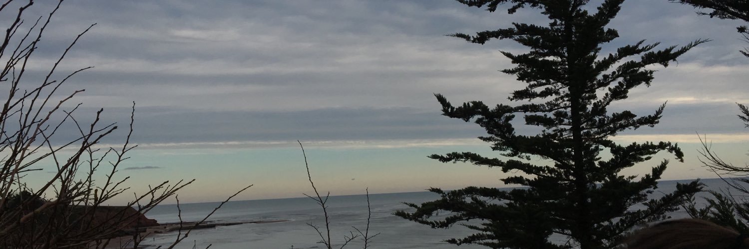 millie garrett banner
