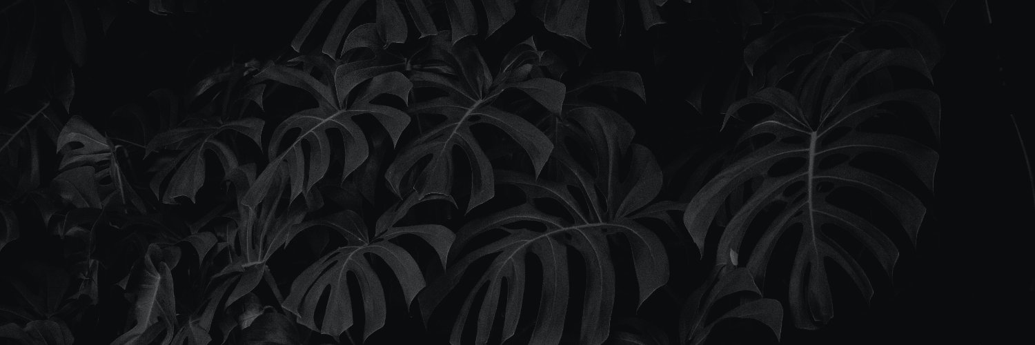 _acoimbra's profile banner image