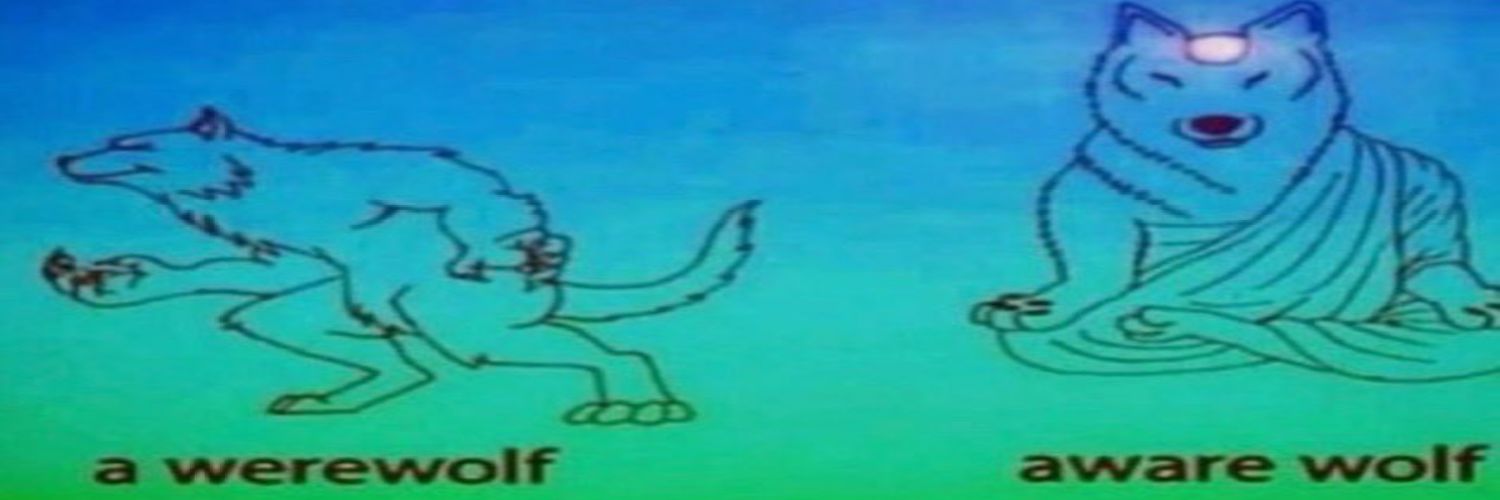 HoieBae's profile banner image