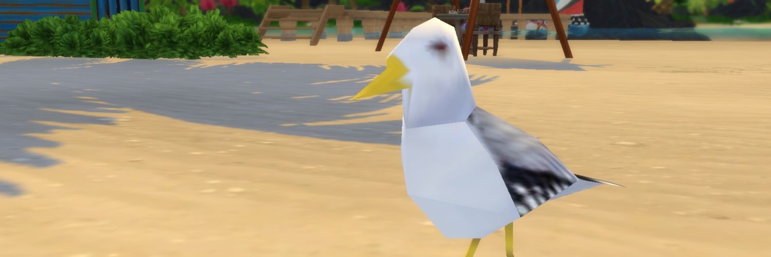 valentinacaroo's profile banner image
