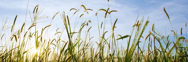 3_threebeans Profile Banner