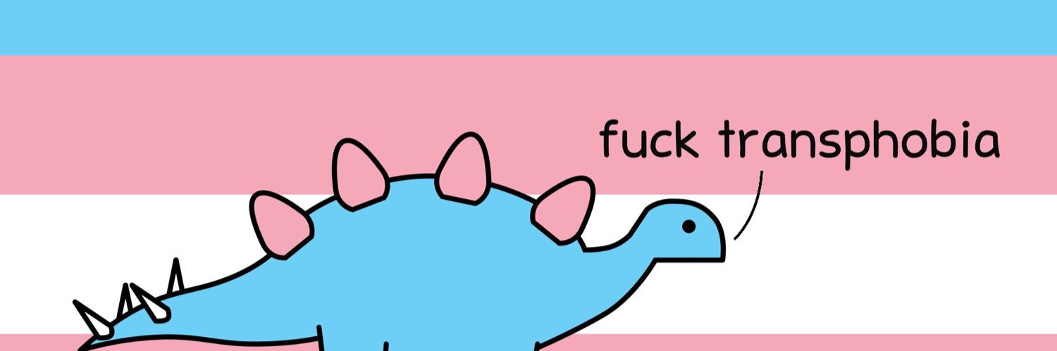 _bvariant's profile banner image